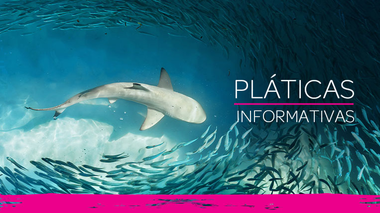 Pláticas Informativas