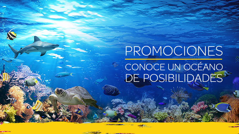 Pláticas Informativas